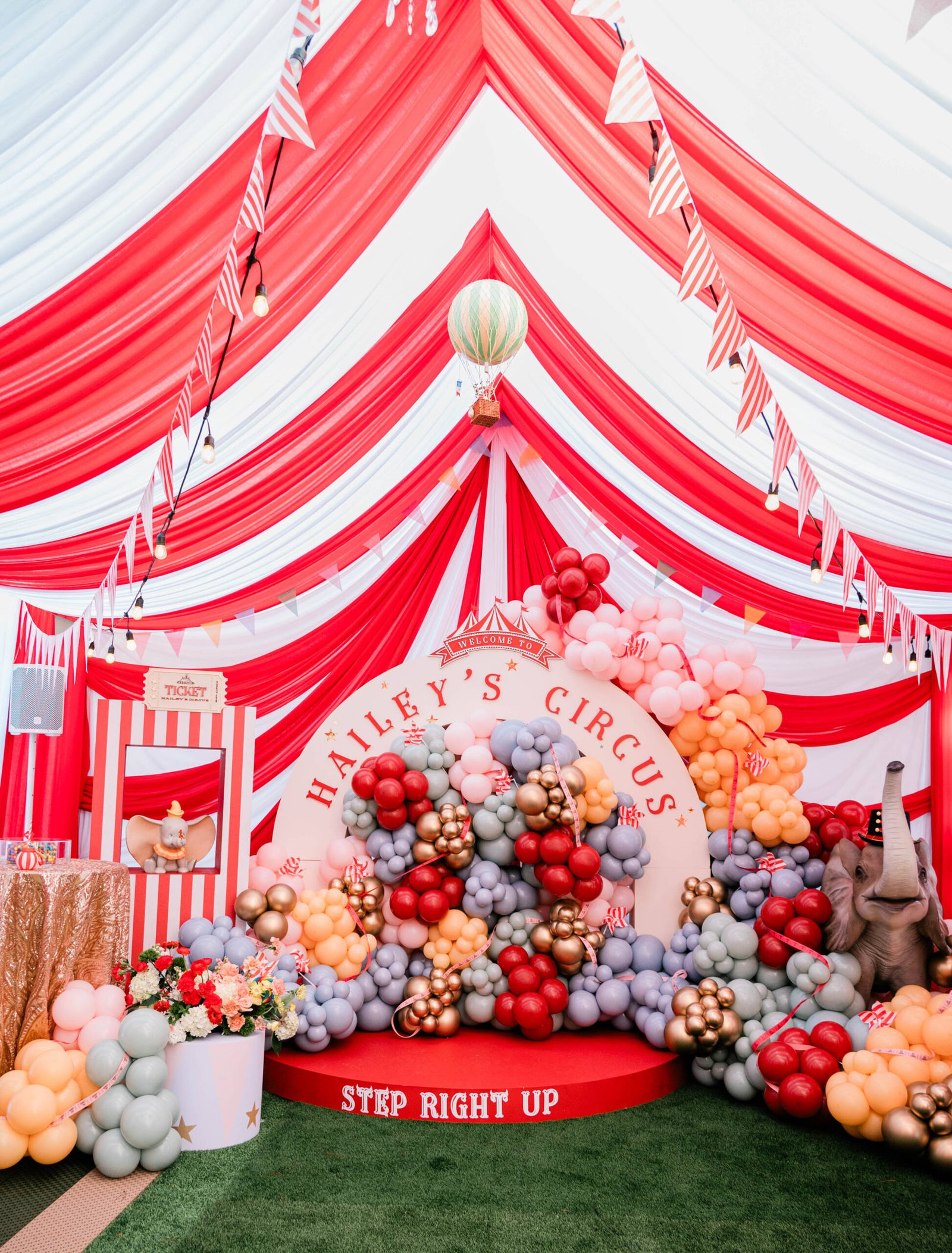 Circus Birthday Party